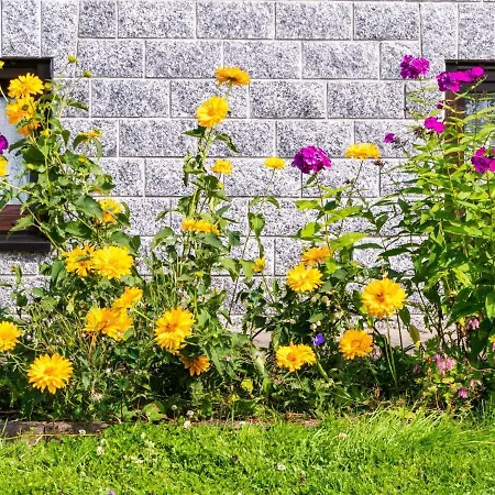 Apartment With Garden View In The Erzgebirge Pohla