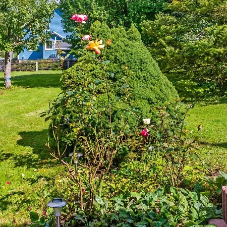With Garden View In The Erzgebirge * Pohla