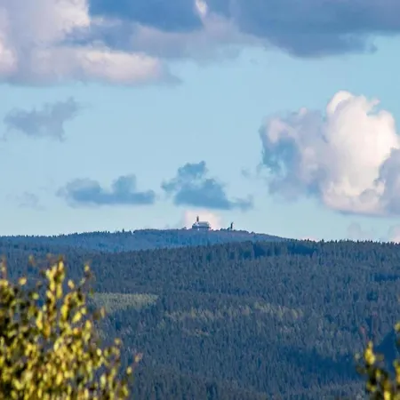 With Garden View In The Erzgebirge *