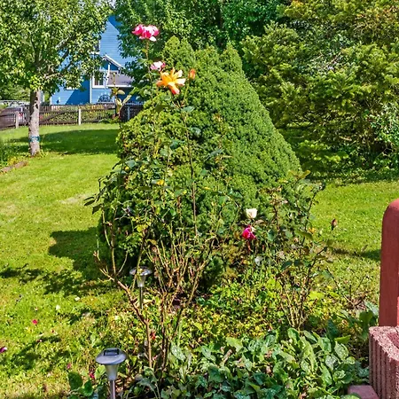Charmante Dachgeschoss Im Erzgebirge * Pöhla