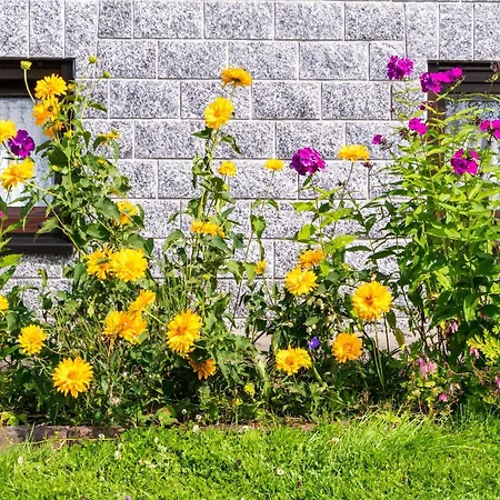 Appartement Charmante Dachgeschoss Im Erzgebirge Pöhla