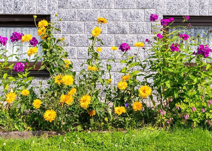 Apartament Charmante Dachgeschoss Im Erzgebirge Pöhla